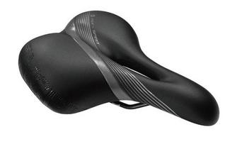 ASI1031