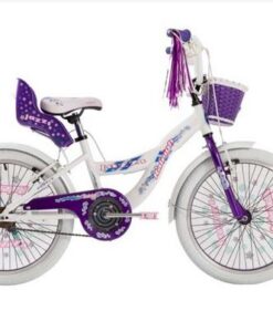 Bici Raleigh R15