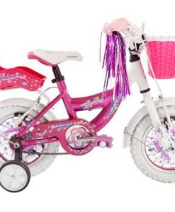 Bici Raleigh R12